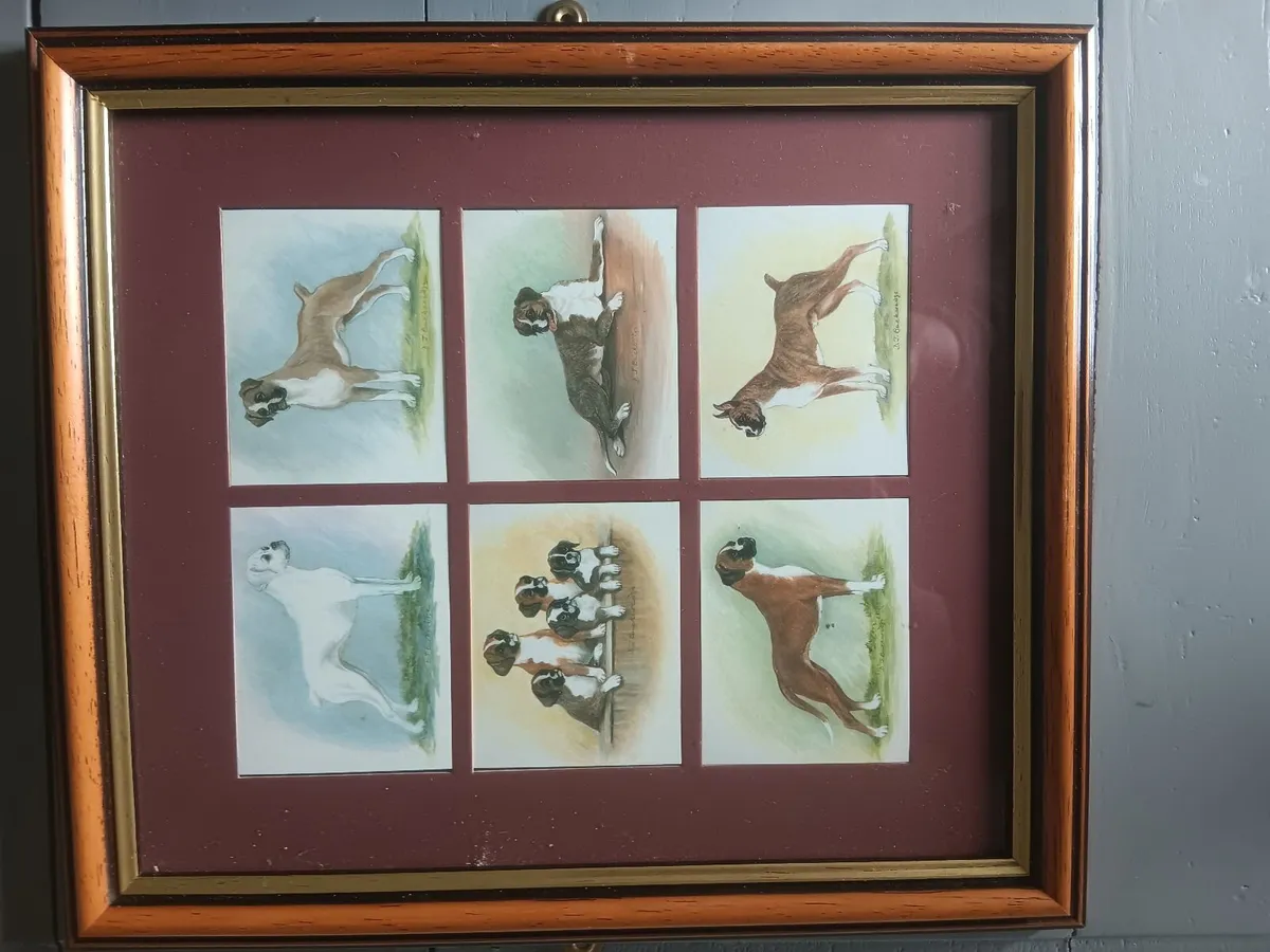 Cigarette cards - Image 2