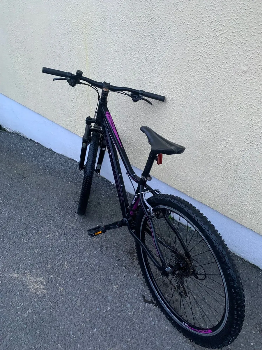 Mountain Bike - Image 4