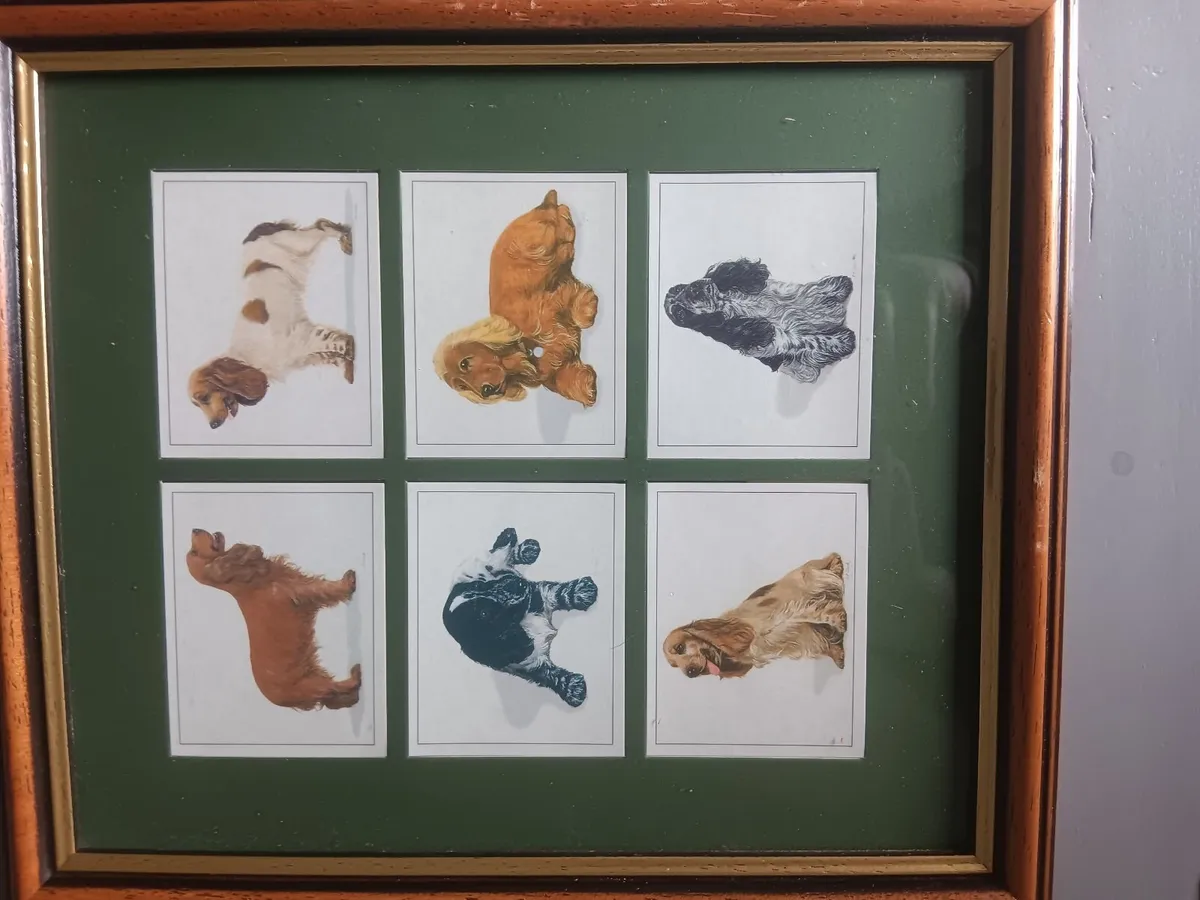 Cigarette cards - Image 4