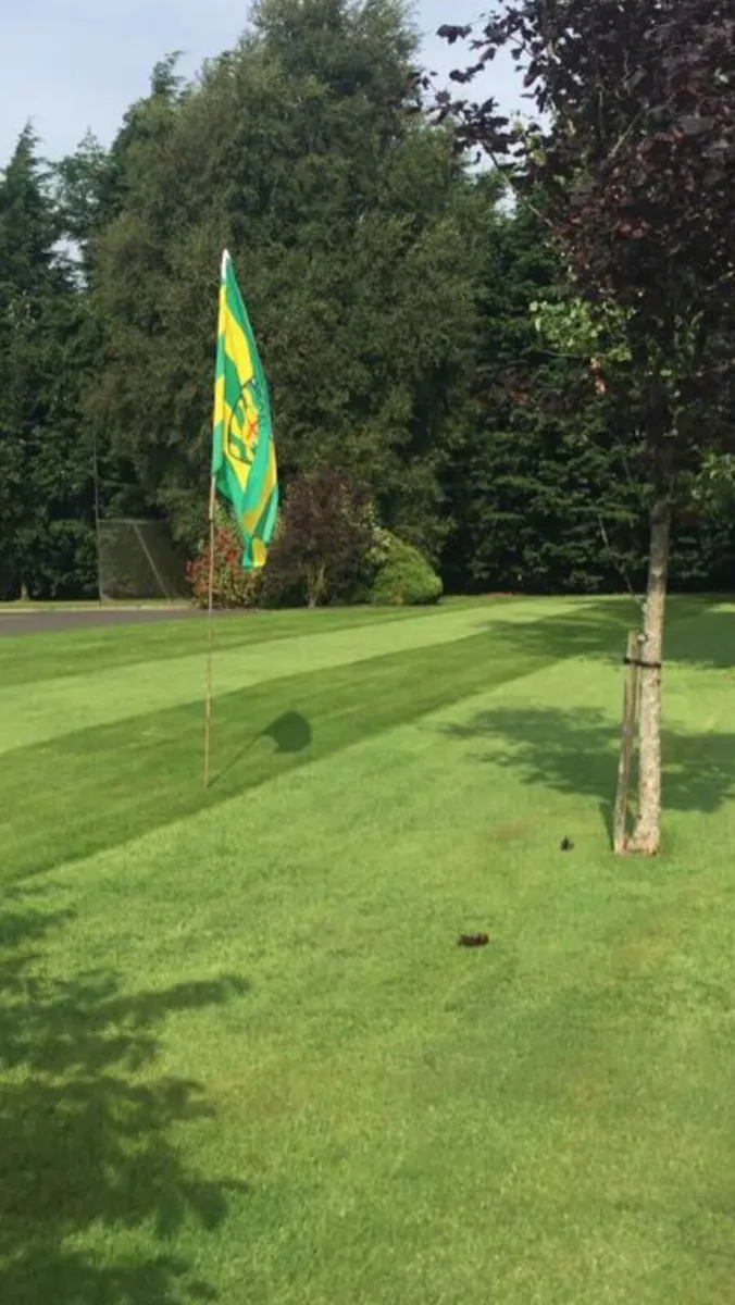 Garden/Lawn cutting twin town area - Image 1