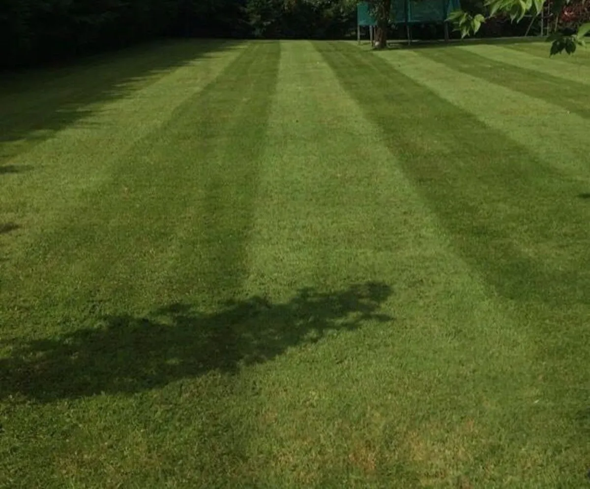 Garden/Lawn cutting twin town area - Image 2