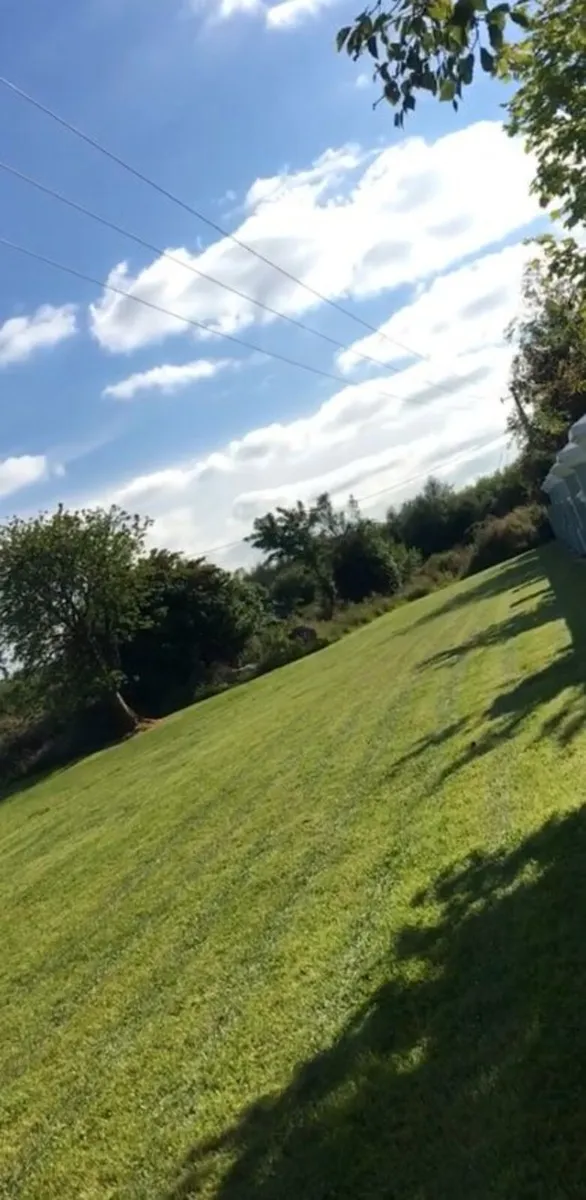 Garden/Lawn cutting twin town area - Image 3