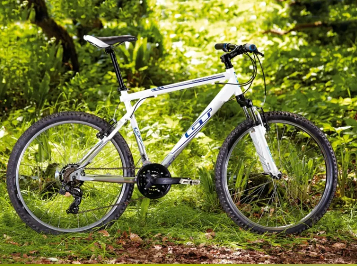 Mountain bike - Image 1