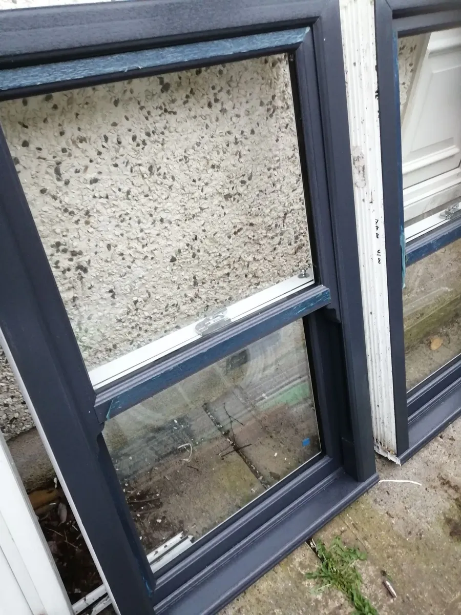 New sash windows - Image 1