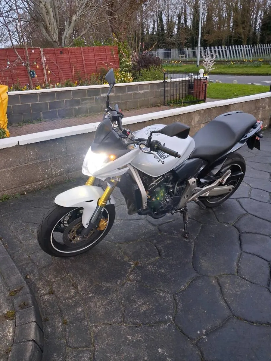 Hornet 600 - Image 1