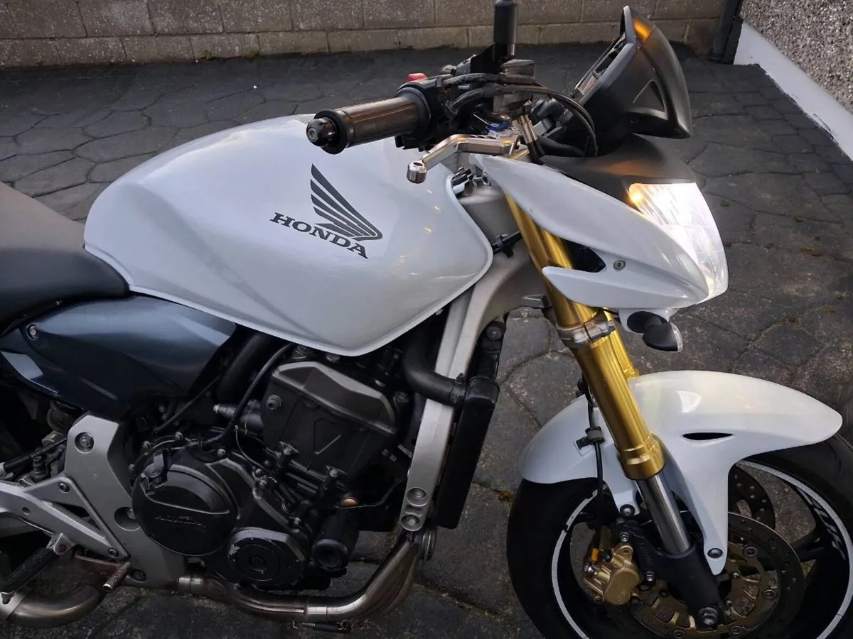 Hornet 600 - Image 3