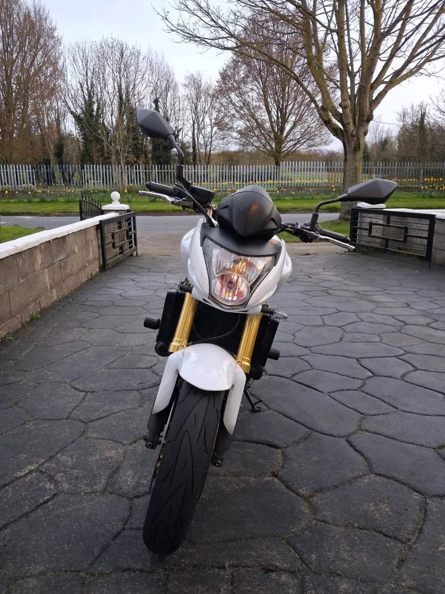 Hornet 600 - Image 4