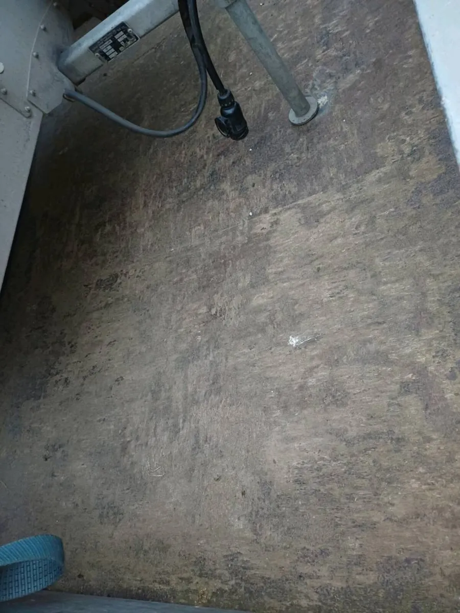 Ifor williams 12ft x 6'6, year 2019 £2650 - Image 3