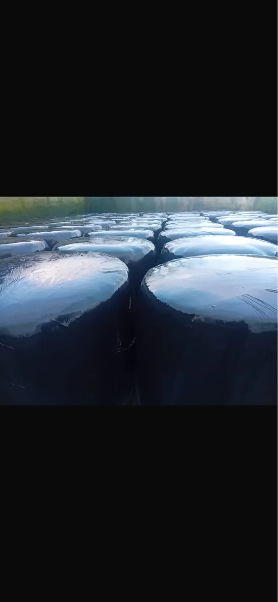 bales for sale - Image 1