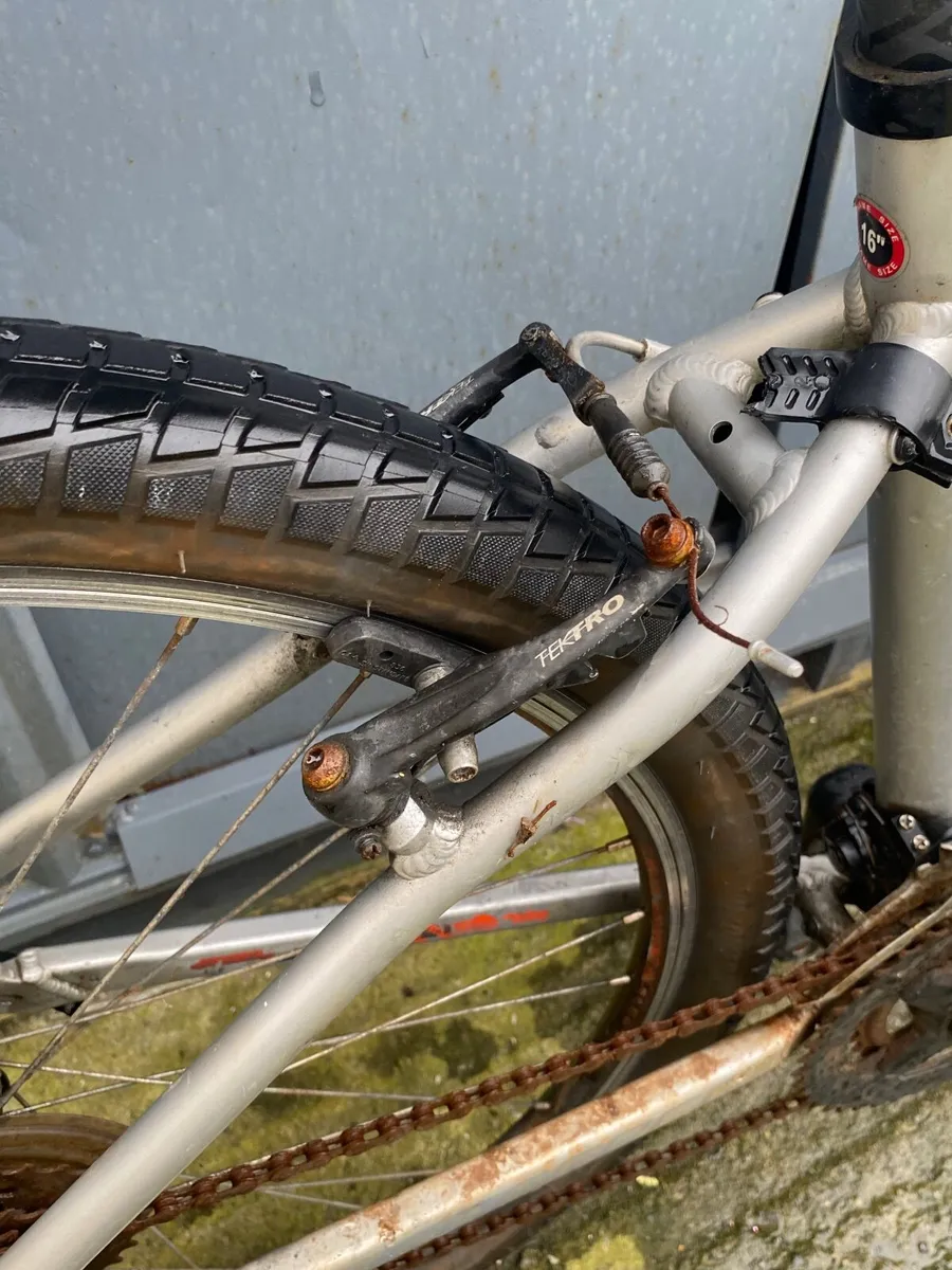 Carrera parva - Image 2