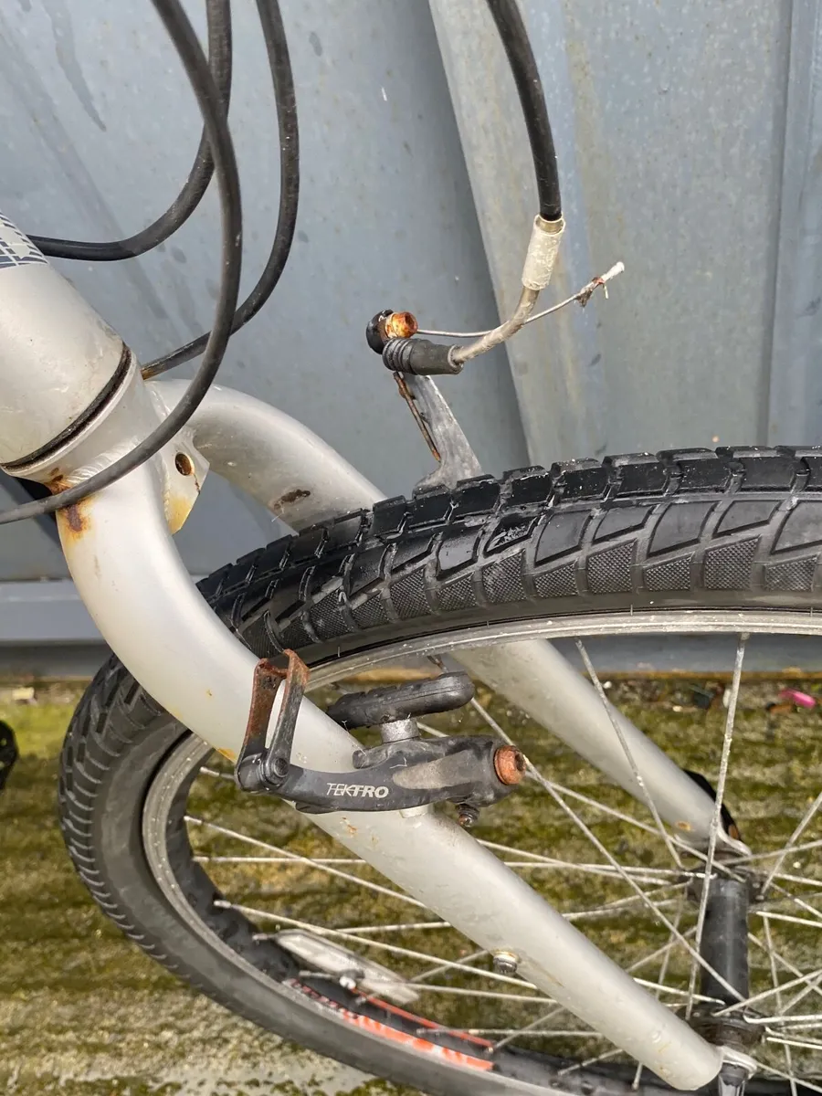 Carrera parva - Image 3