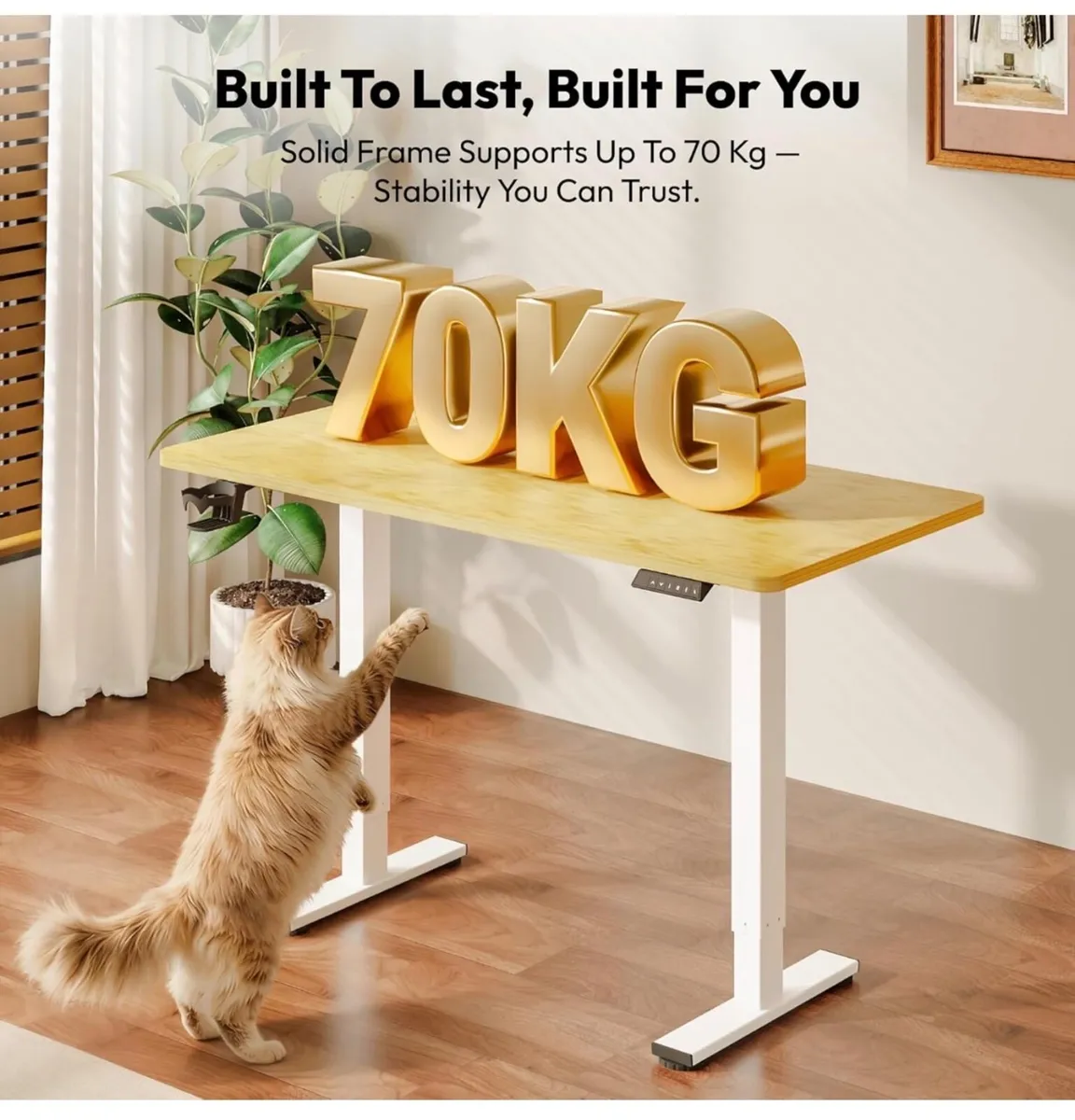 110 x 54 Electric Standing Desk ONE PIECE Height A - Image 3