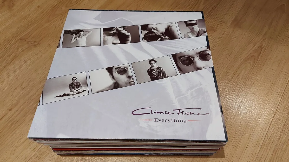 CLIMIE FISHER - EVERYTHING - VINYL RECORD