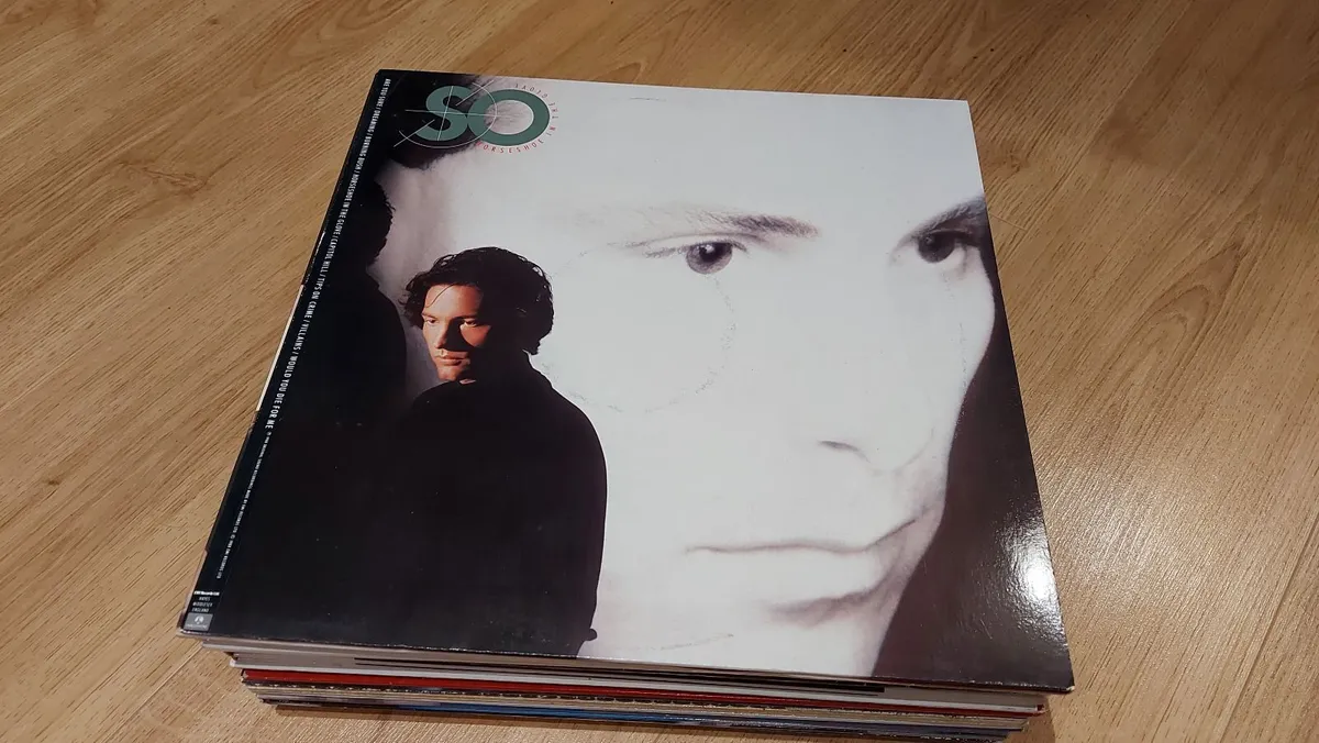 SO - HORSESHOE IN THE GLOVE - VINYL RECORD