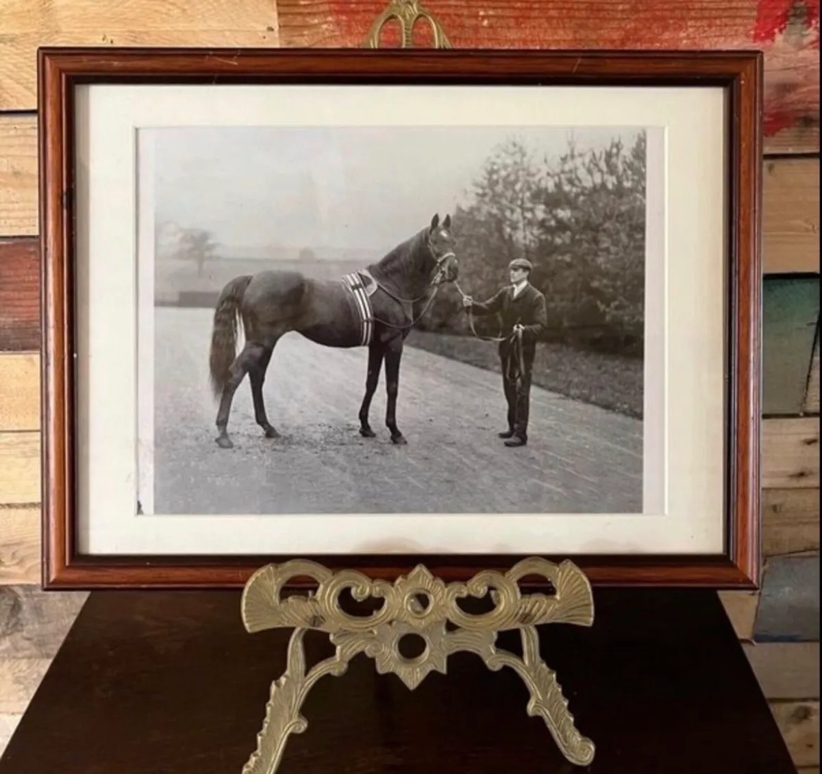 Framed photo of racehorse St Simon