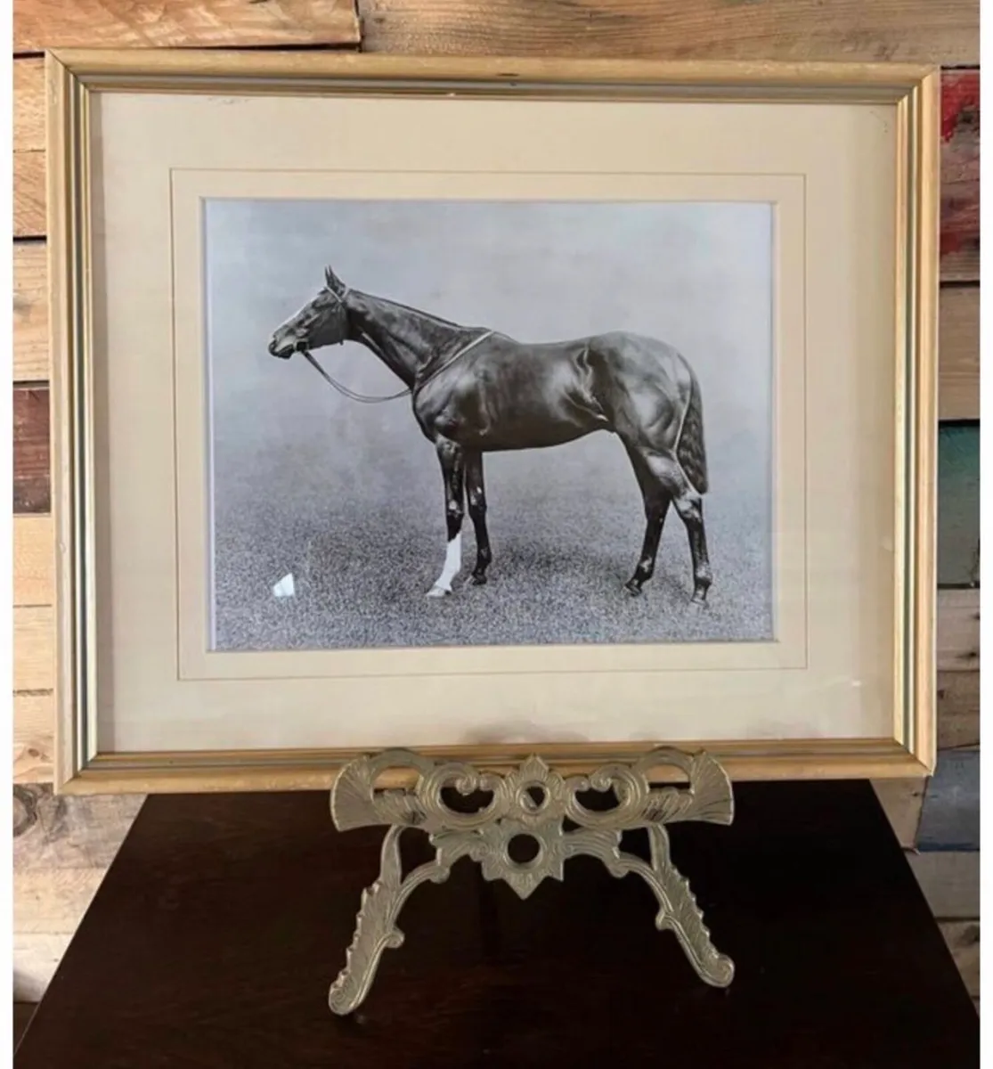 Framed photo of racehorse Spearmint - Image 1