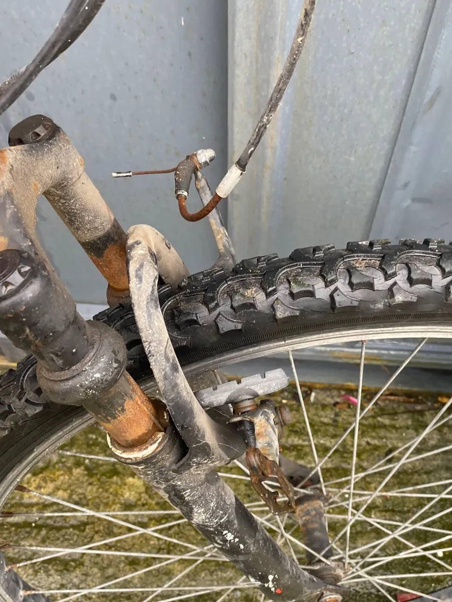 Apollo slant - Image 3