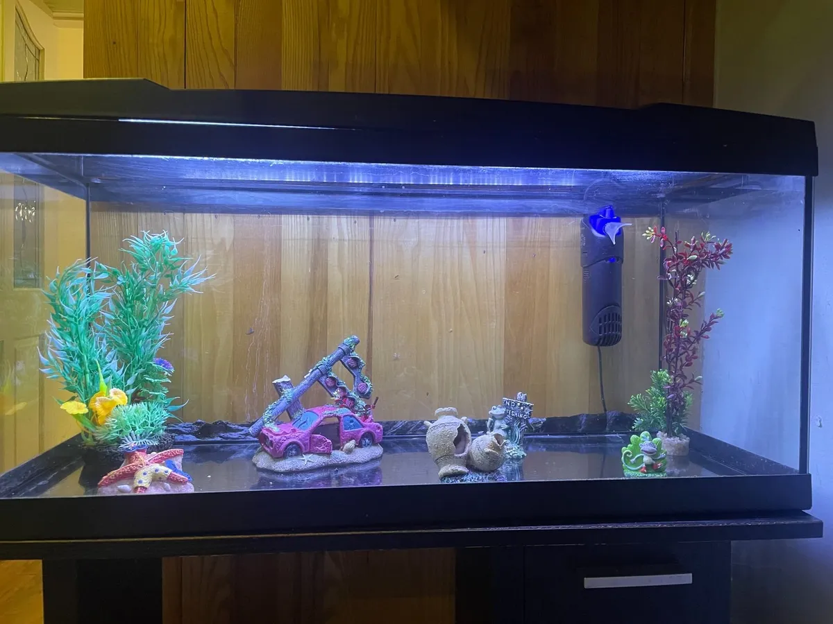 fish tank with stand - Image 2