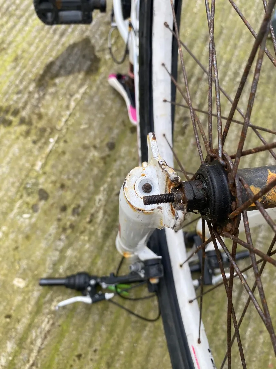 Torpado bike - Image 3