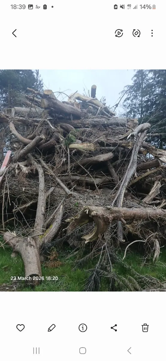 Lorry load of softwood timber - Image 1