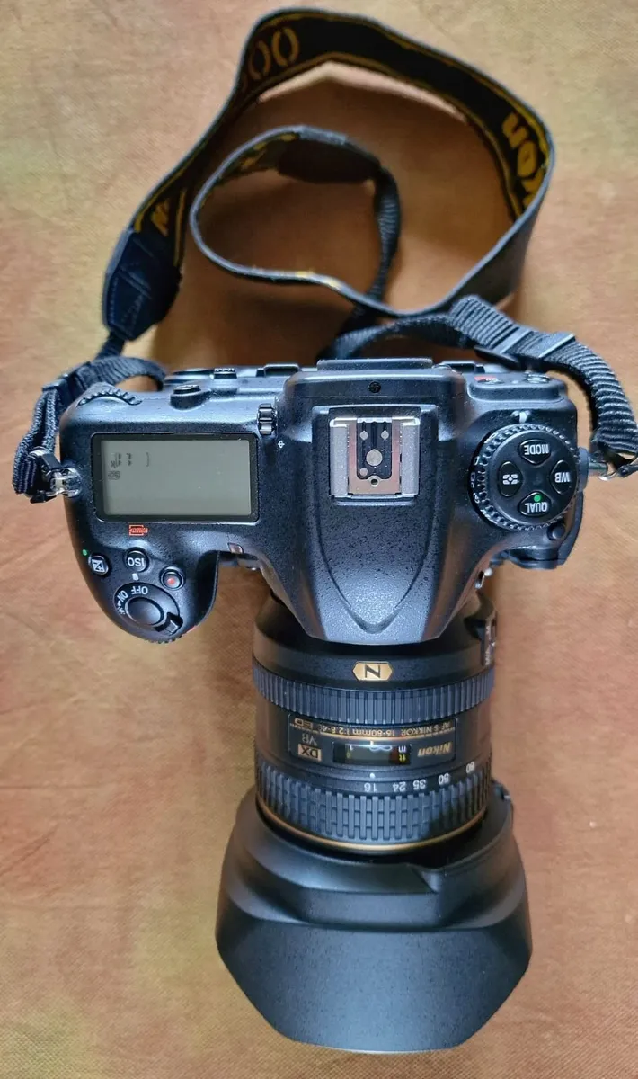 Nikon D500 16-80 VR kit - Image 2