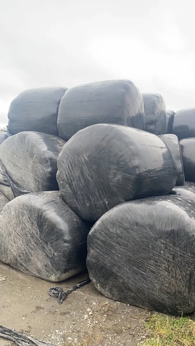 Silage and haylage bales - Image 4