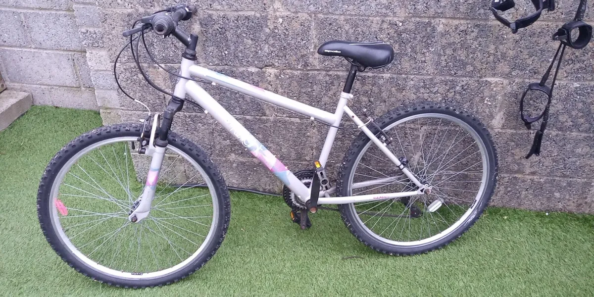 Girls Mountain Bike - Image 1