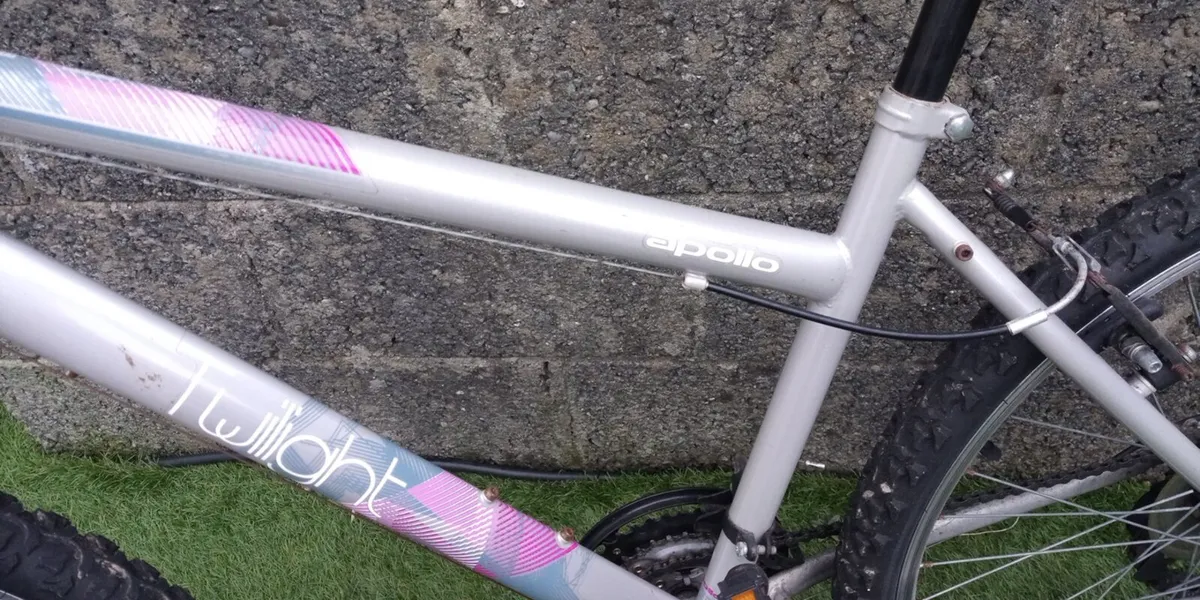 Girls Mountain Bike - Image 2