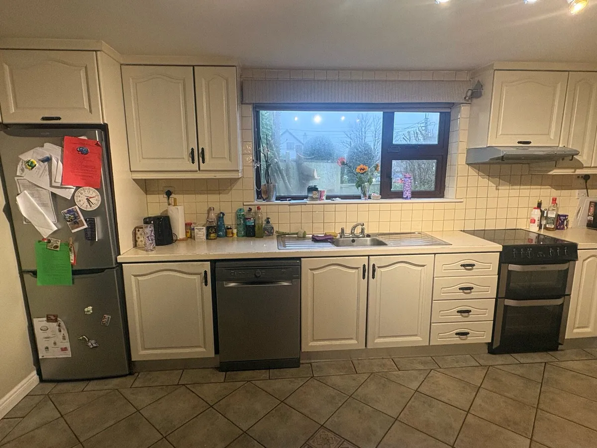 Solid Wood Kitchen & Utility Cabinets - Image 2