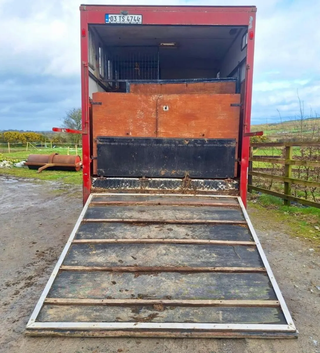 DAF 7.5T Horse Lorry - Image 4