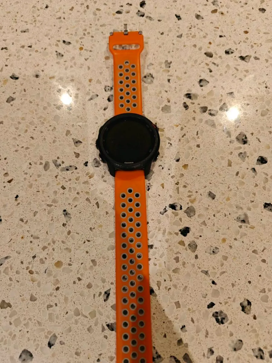 Garmin 245 music - Image 1