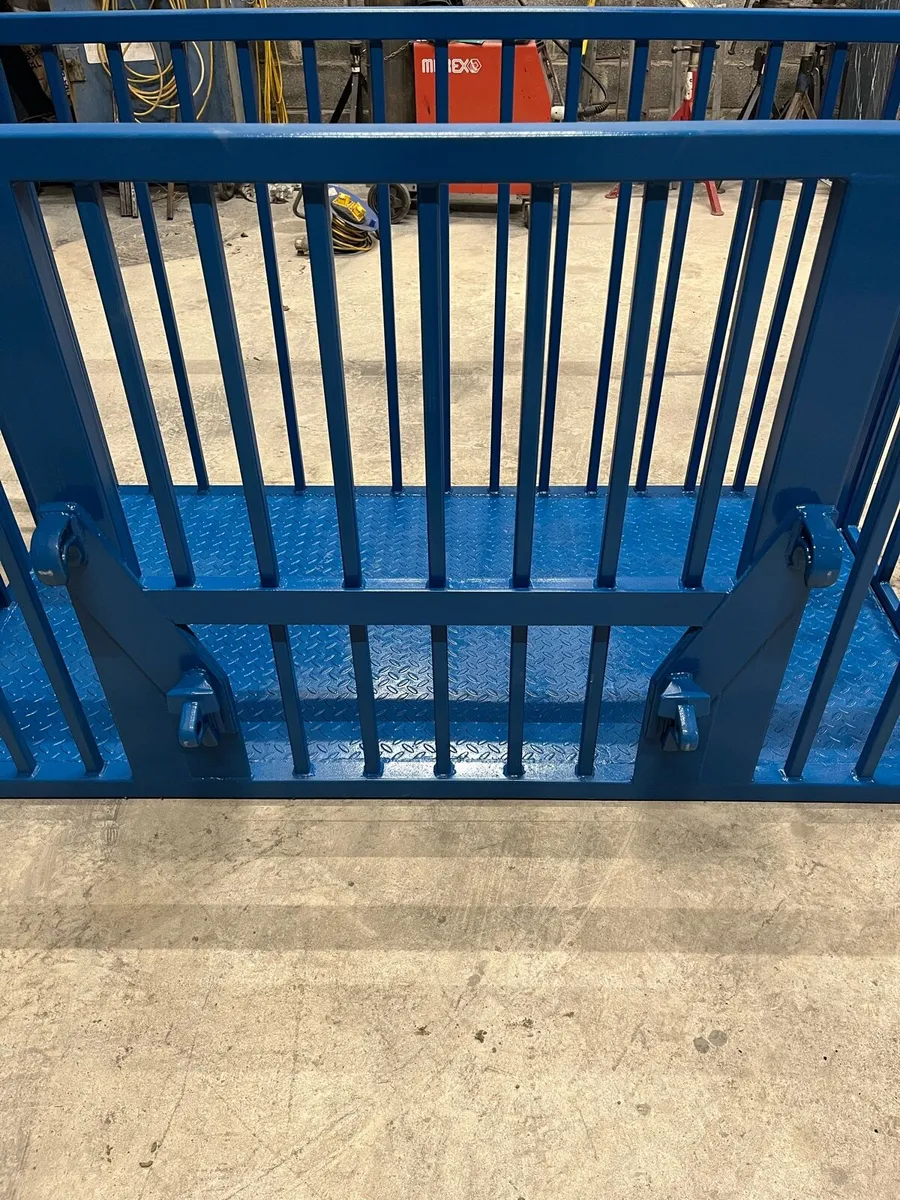 Safety cage or moving calves - Image 2