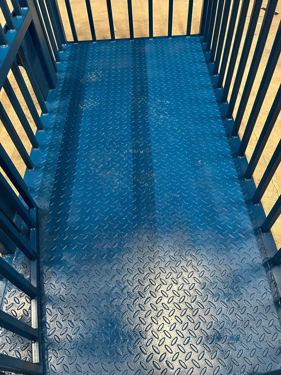 Safety cage or moving calves - Image 3