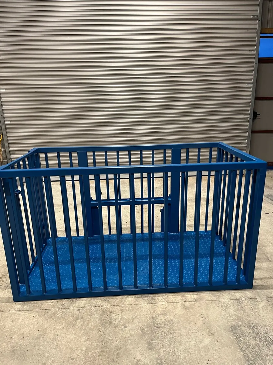 Safety cage or moving calves - Image 4