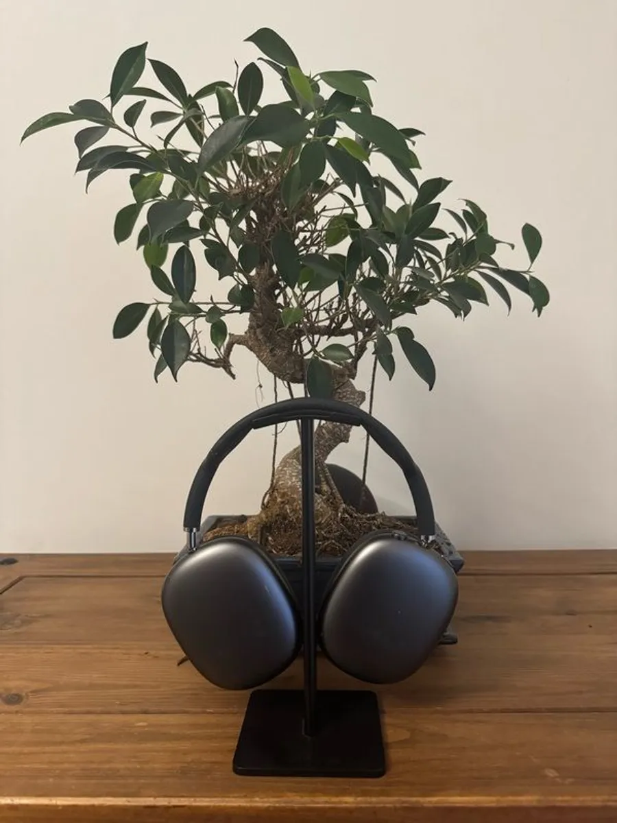 Airpods Pro Max - Image 1