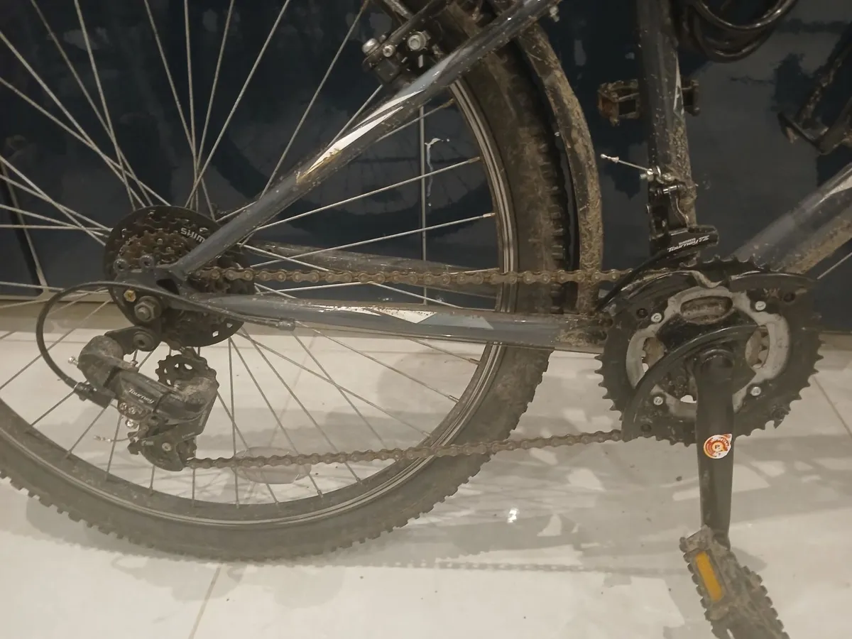 Freespirit Tracker Bike - Image 4