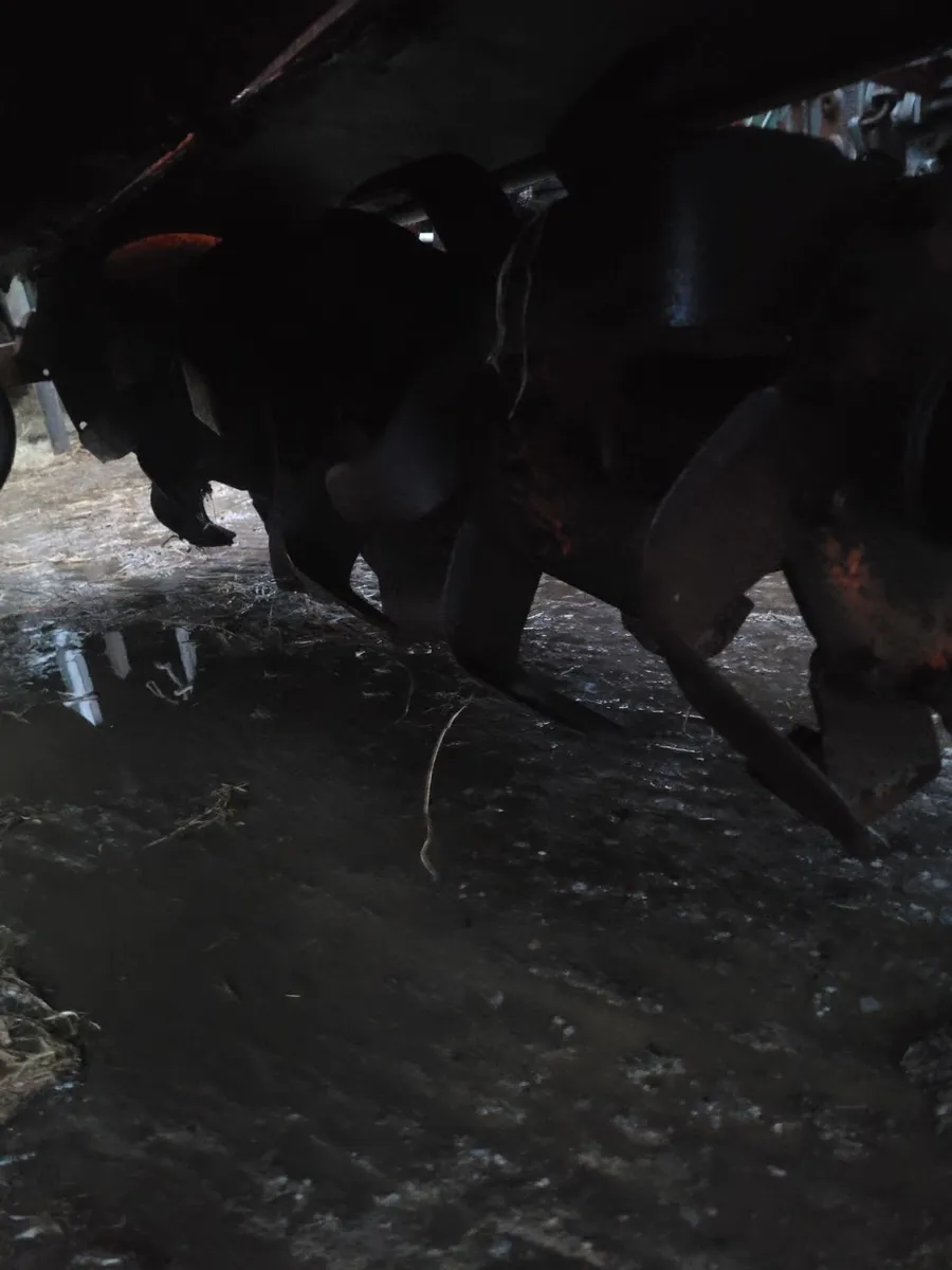 HOWARD 70" ROTAVATOR - Image 2