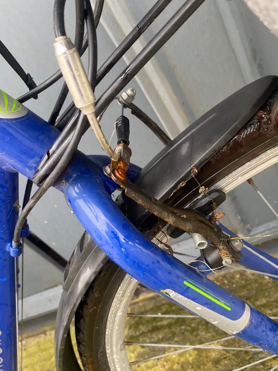 Apollo excelle - Image 4