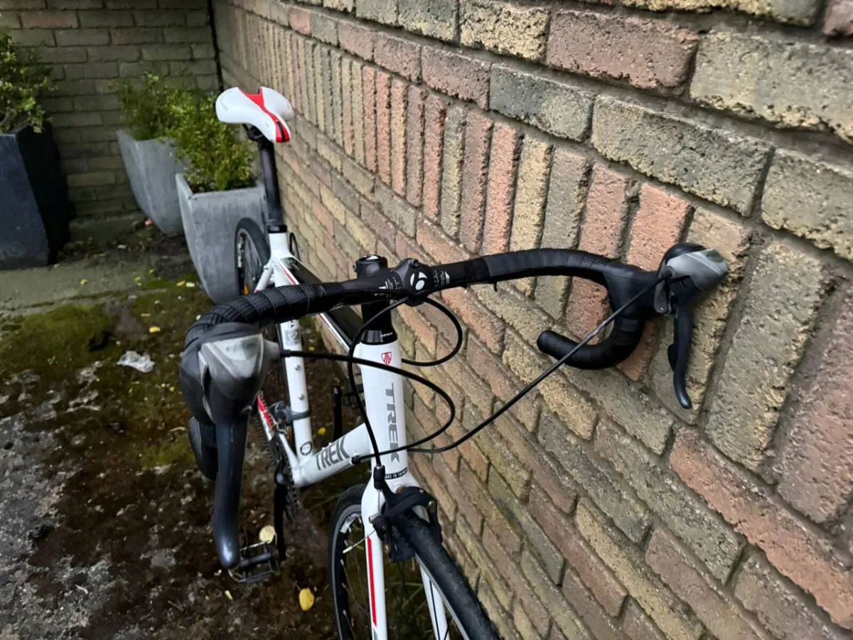 Trek Road Bike - Image 4