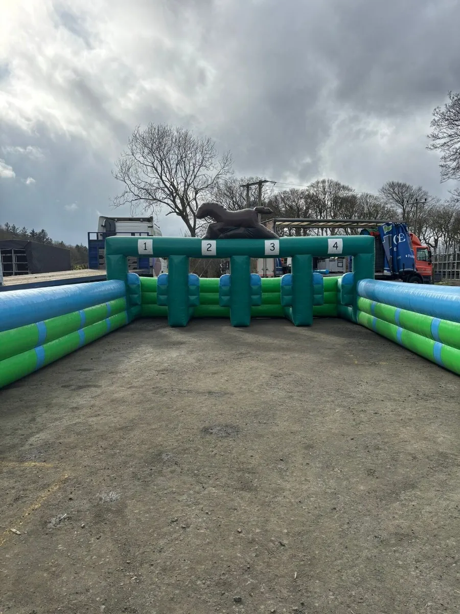 Bouncy Castle, inflatable horse racing - Image 2
