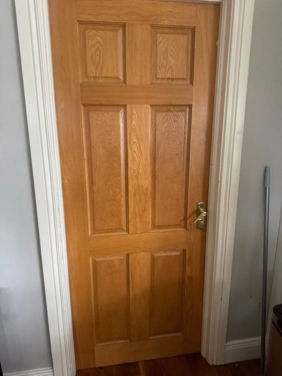 internal double doors - Image 4