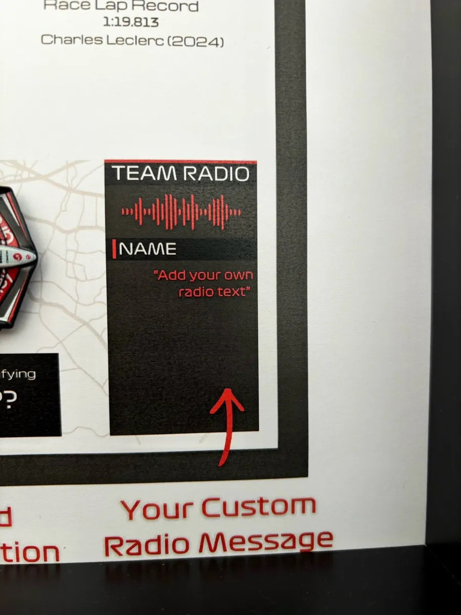 Custom made Formula 1 display frame - Image 4