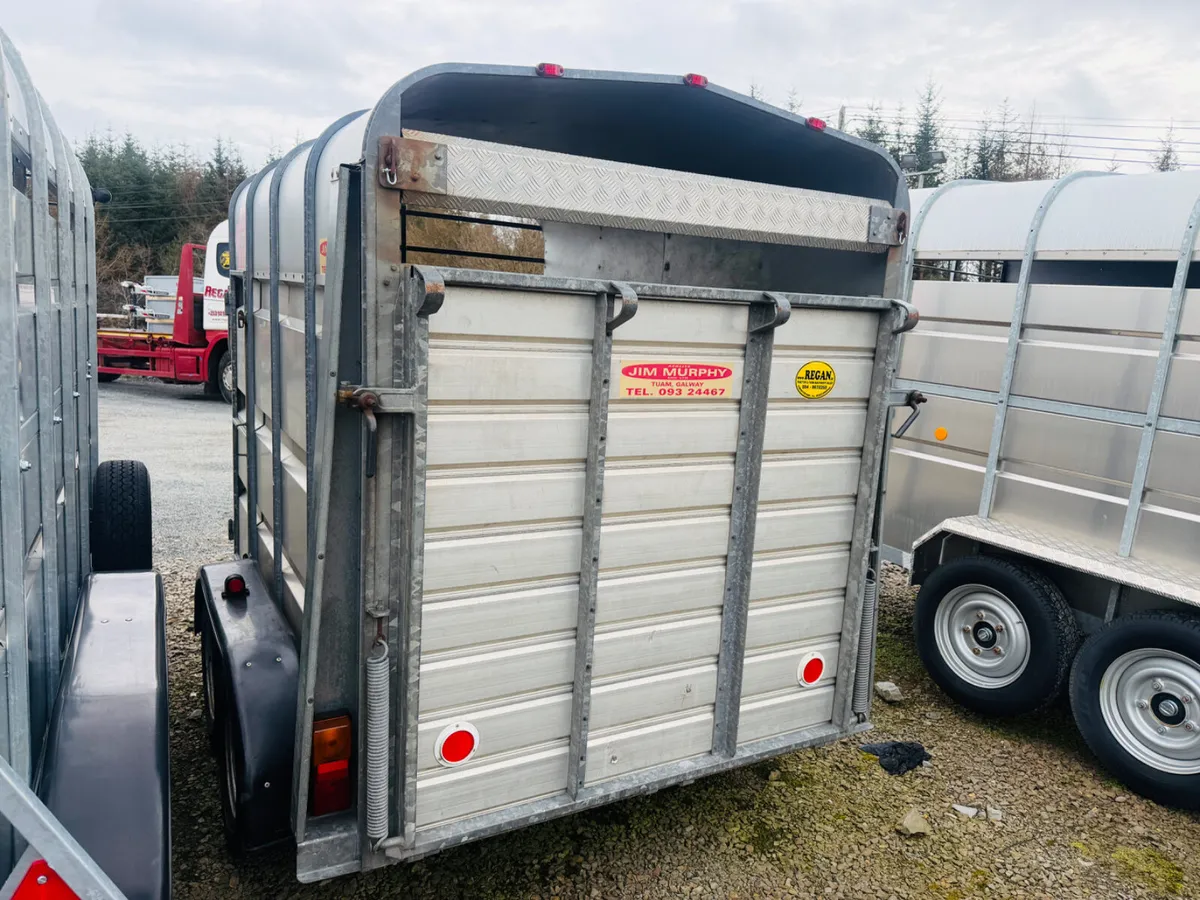 Murphy Cattle Trailer 8x5 Livestock - Image 4