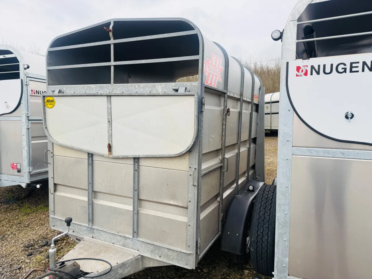 Murphy Cattle Trailer 8x5 Livestock - Image 2