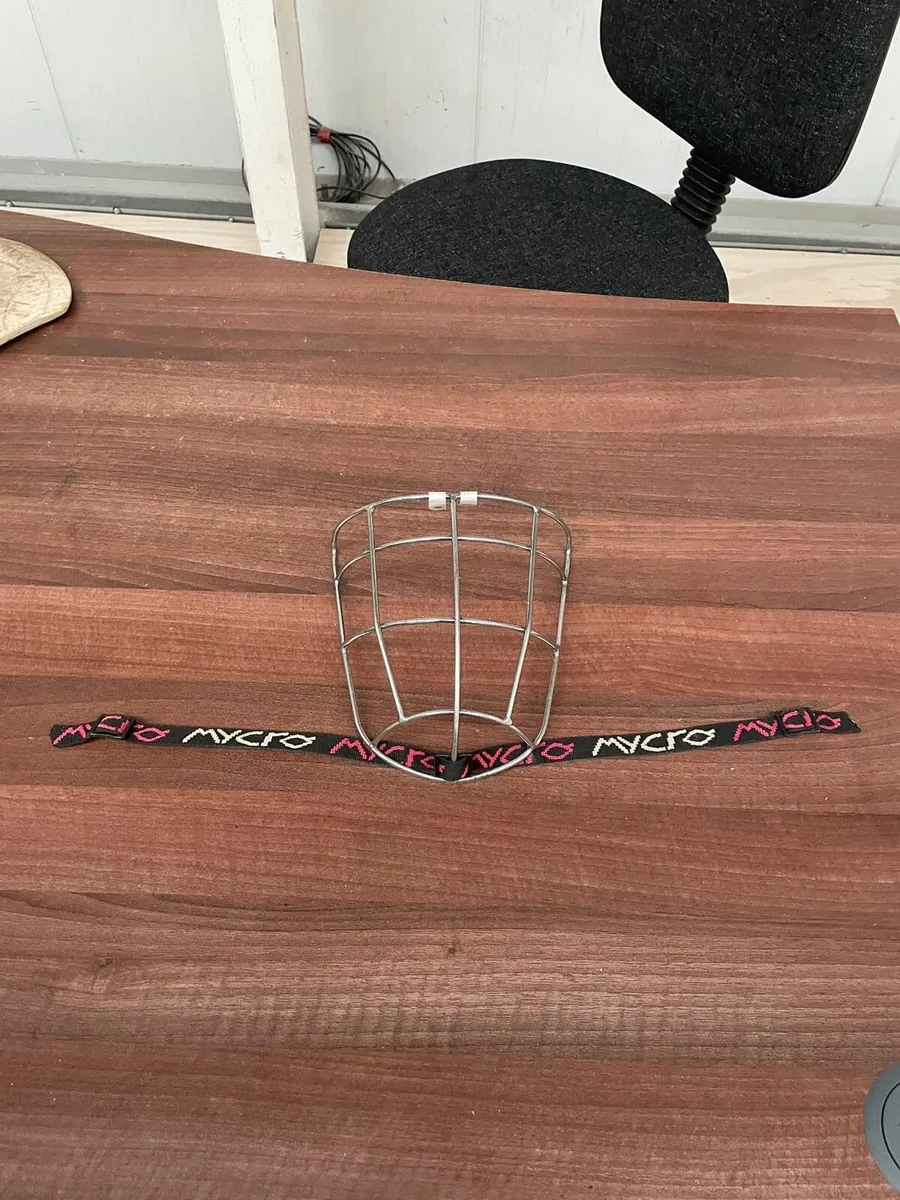 Hurls,Gola helmet,Guards,Padding,etc - Image 4