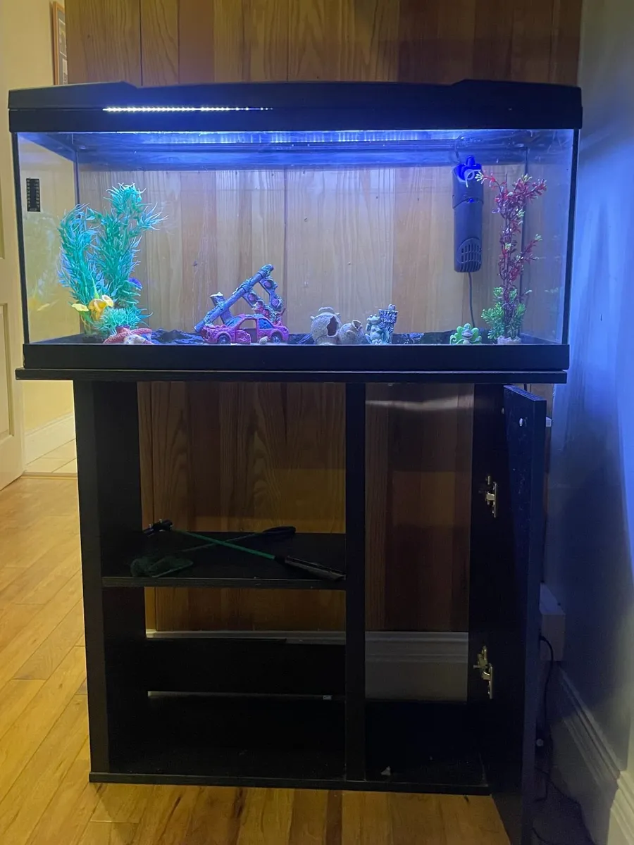 fish tank with stand - Image 3