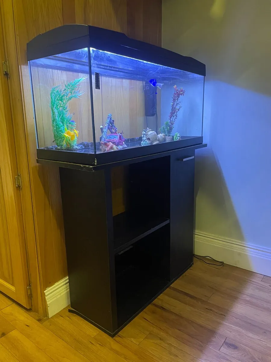 fish tank with stand - Image 4