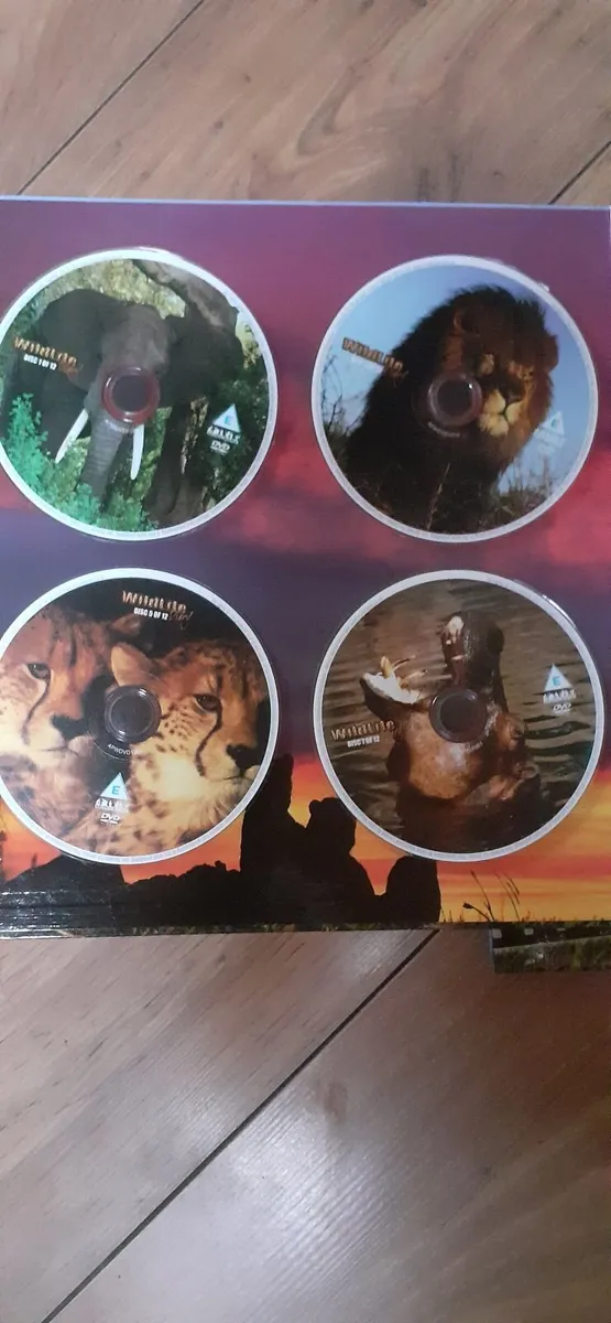 DVD collectors edition Wildlife diary 8 DVD - Image 3
