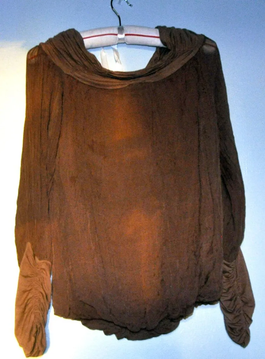 Dressy Silk Taupe Top - Image 3
