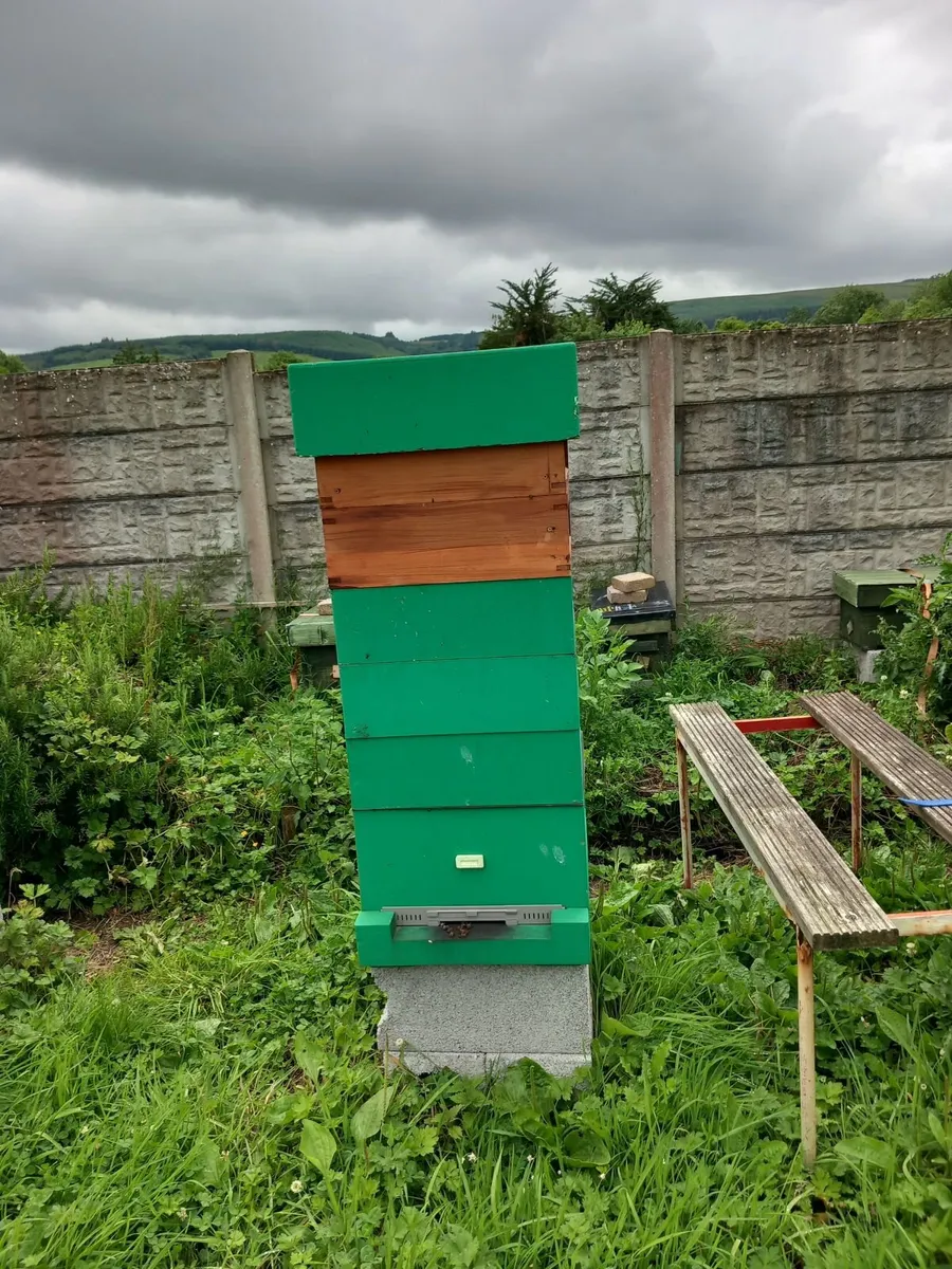 Beehives - Image 2